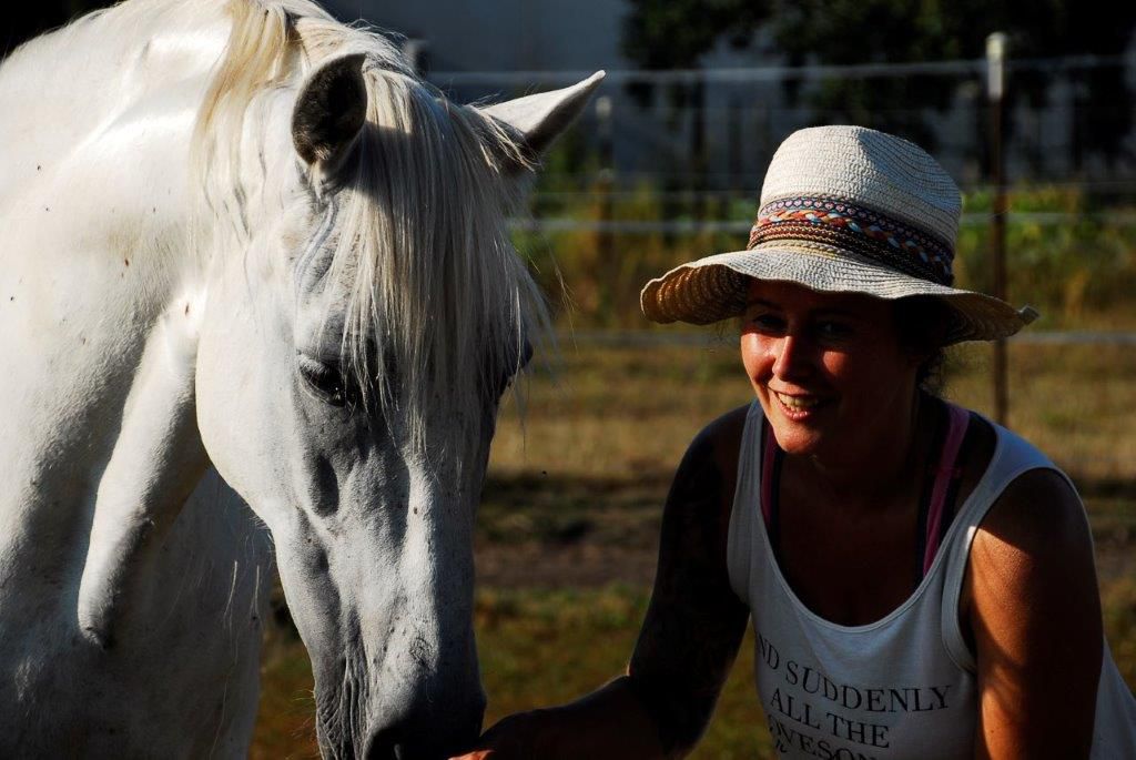 Lin Müller Arbeit mit Pferden 2
