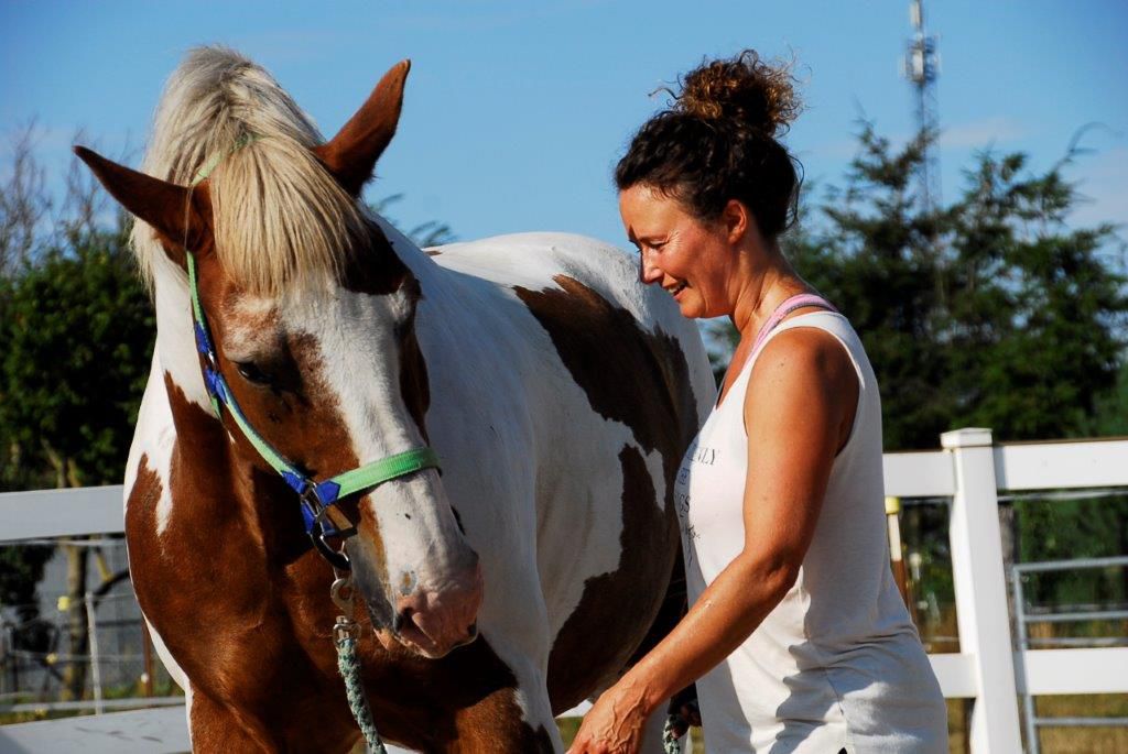Lin Müller Arbeit mit Pferden 3
