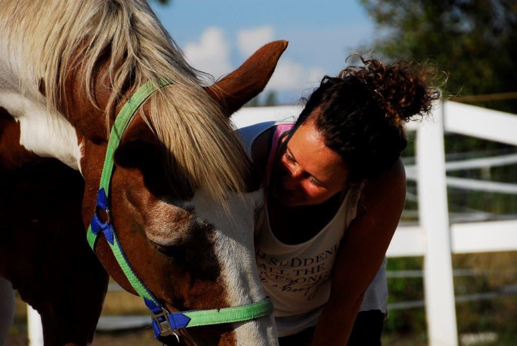 Lin Müller Arbeit mit Pferden 1